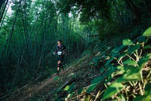 BIB: 
                            <button type="button" onclick="openModal(28124892)" class="btn btn-primary btn-sm float-right btn-popup" data-toggle="modal" data-target=".modal-high-quality">
                        <i class="fas fa-shopping-cart"></i> Add to Cart
                    </button>
                                            <button type="button" onclick="isThisMe(28124892, true)" class="btn btn-success btn-sm float-right btn-popup btn-isme hidden" data-toggle="tooltip" data-placement="bottom" title="นี่คือรูปของคุณใช่ไหม คลิกที่นี่เพื่อเอาเข้าอัลบั้ม">
                        <i class="fas fa-plus"></i> Add to album
                    </button>
                    <button type="button" onclick="isThisMe(28124892, false)" class="btn btn-warning btn-sm float-right btn-popup btn-isnotme hidden">
                        <i class="fas fa-ban"></i> Remove from album
                    </button>